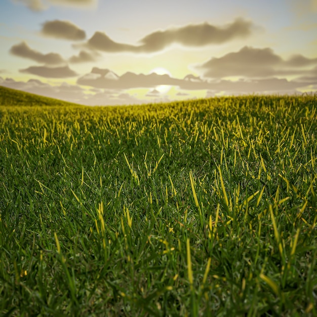 Campo di erba verde su piccole colline e cielo blu con nuvole