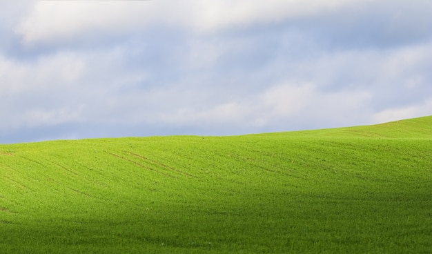 Campo di erba verde sulle colline e cielo blu con nuvole nel paesaggio naturale della campagna