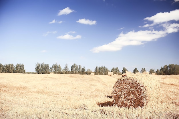 campo di falciatura paesaggio autunnale