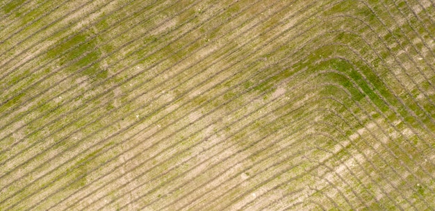 campo di fattoria agricoltura vista dall'alto drone che riprende vista dall'alto
