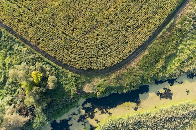 campo di fattoria agricoltura vista dall'alto riprese di droni