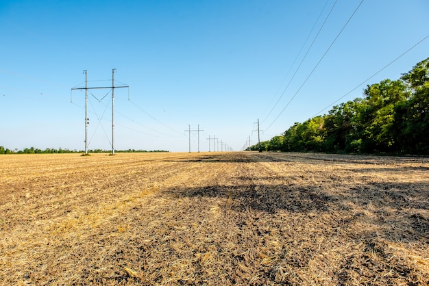 Campo di grano arato Paglia nei campi Paesaggio rurale con sfondo azzurro del cielo