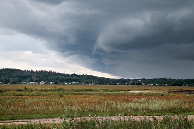 Campo di grano e nuvole piovose