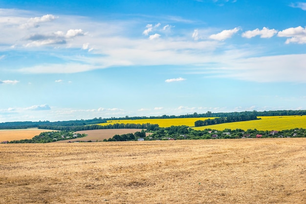 Campo di grano falciato e cielo nuvoloso blu