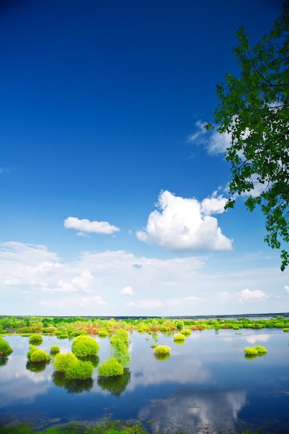 Campo di inondazione primaverile