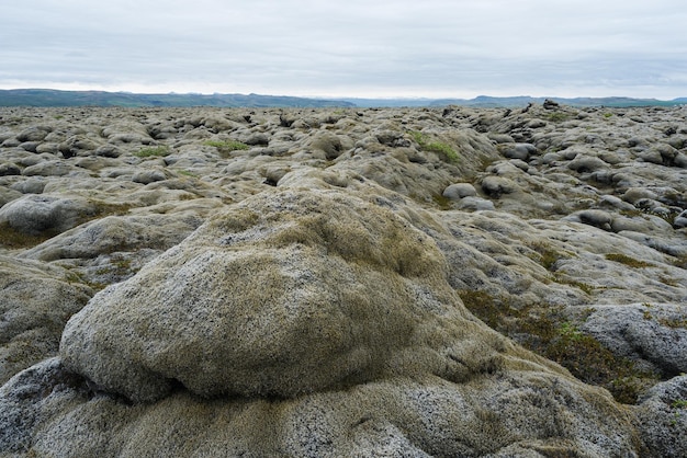 Campo di lava in Islanda