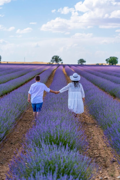 Campo di Lavanda