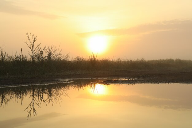 Campo di mattina dopo la pioggia