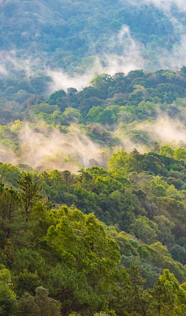 campo di montagna, posizione naturale in Thailandia