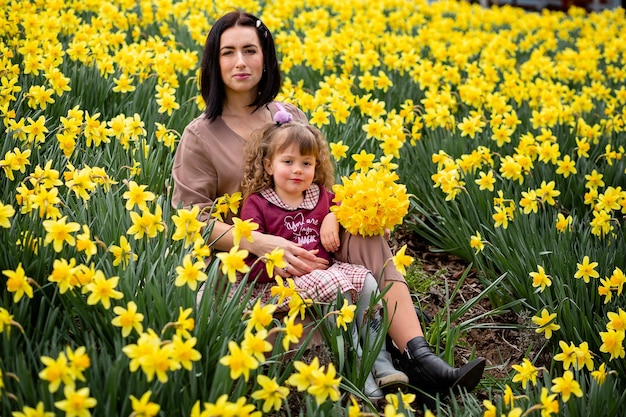 Campo di Narciso La ragazza tiene in mano un grande bouquet profumato di fiori gialli