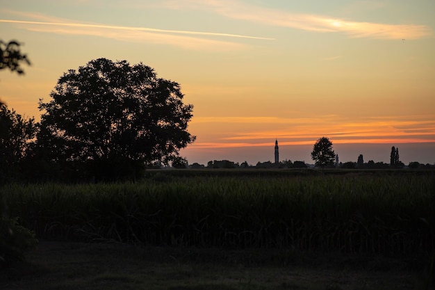 Campo di paese paesaggio tramonto arancione