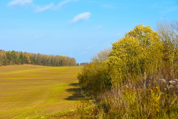 Campo di primavera