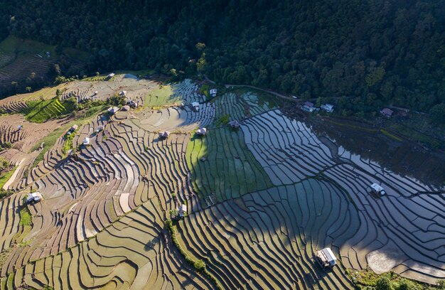 campo di riso a Mae Cham Chiangmai Thailandia settentrionale