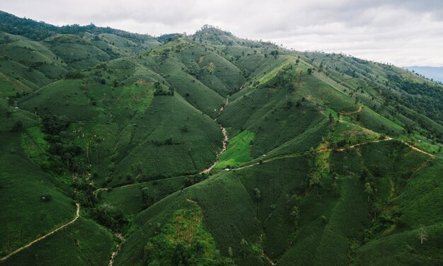 Campo di riso a terrazze Vista dall'alto della Tailandia del Nord