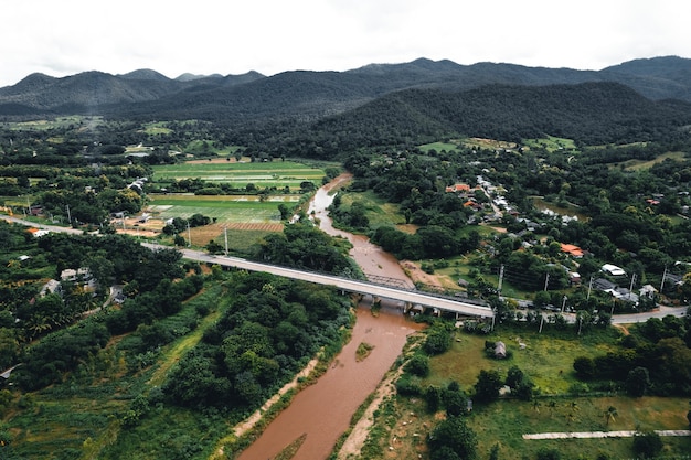 Campo di riso, veduta aerea di campi di riso