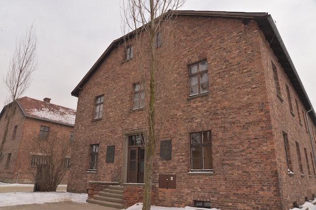 Campo di sterminio di Auschwitz