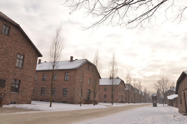 Campo di sterminio di Auschwitz