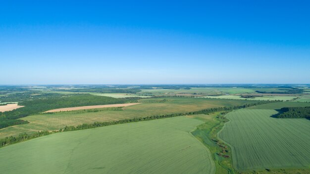 Campo e cielo blu verdi