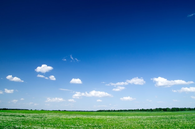 Campo e cielo blu