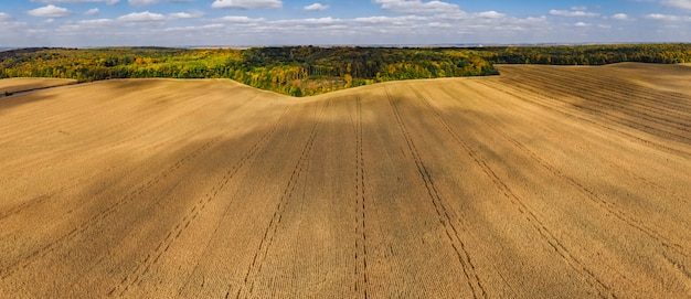 Campo e foresta panoramici aerei della campagna del fuco panoramico di autunno