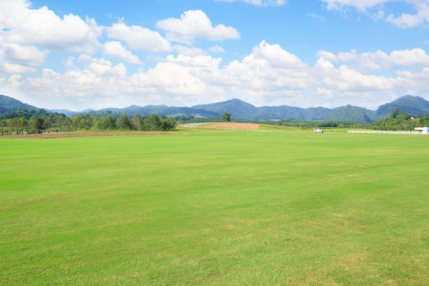 campo erba verde cielo blu con sfondo nuvoloso paesaggio di nuvole