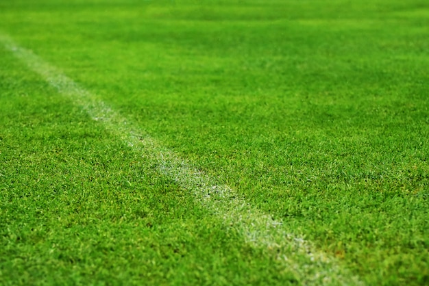 Campo in erba, campo da calcio verde