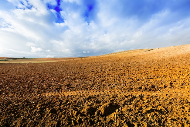 campo libero