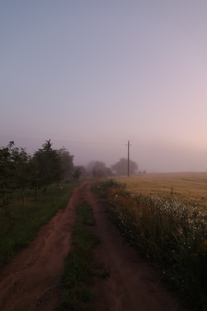 Campo pittoresco e strada panoramica in campagna all'alba in estate