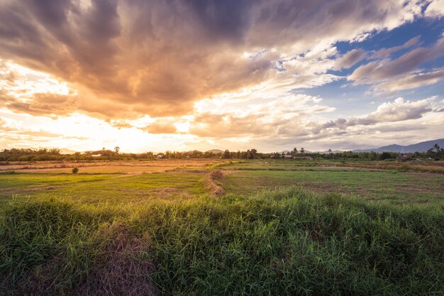 campo prato e bel tramonto