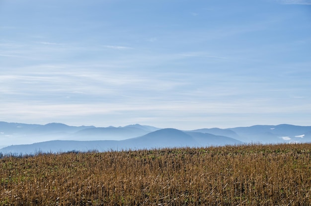 Campo ridotto e lungimiranza