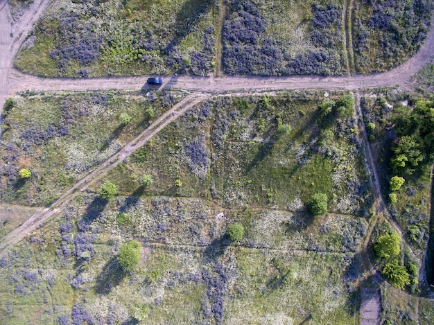 campo selvaggio, vista dall'alto