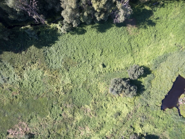 campo selvaggio, vista dall'alto