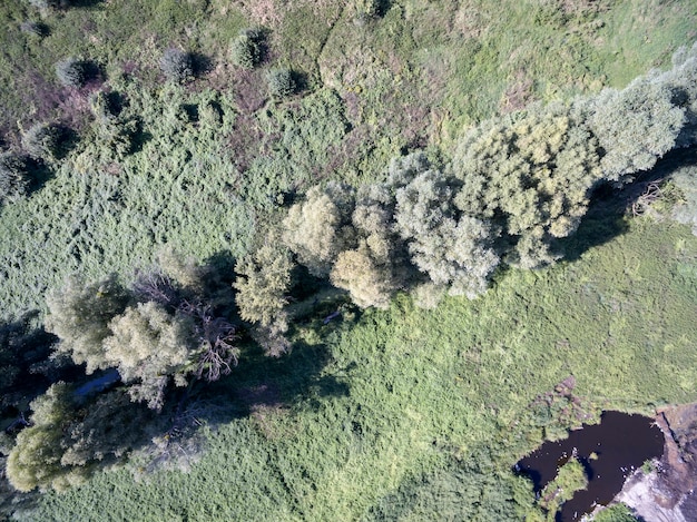 campo selvaggio, vista dall'alto