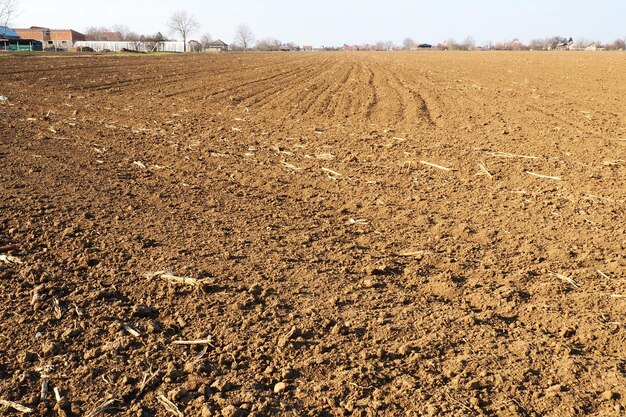 Campo seminativo pronto per il lavoro agricolo primaverile Solchi dal passaggio di un trattore o di una mietitrebbia Farina di mais a terra Terreno fertile per la semina I fertilizzanti sono la chiave per un buon raccolto