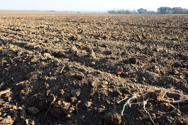 Campo seminativo pronto per il lavoro agricolo primaverile Solchi dal passaggio di un trattore o di una mietitrebbia Farina di mais a terra Terreno fertile per la semina I fertilizzanti sono la chiave per un buon raccolto