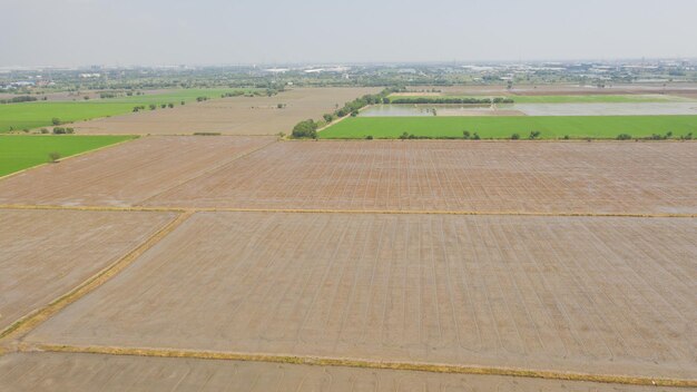 Campo sfondo vista dall'alto paesaggio natura