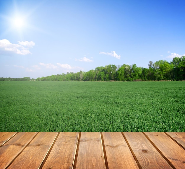 Campo sotto il cielo blu Pavimento in assi di legno