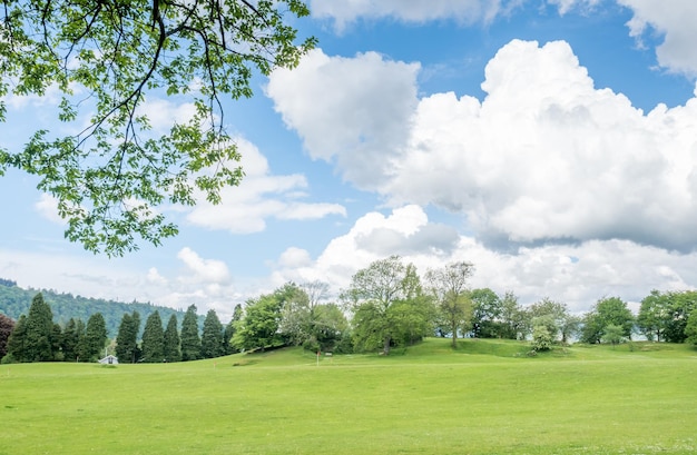 Campo sotto il cielo blu