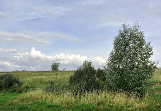 Campo sotto un cielo nuvoloso