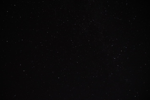 Campo stellato contro il cielo notturno