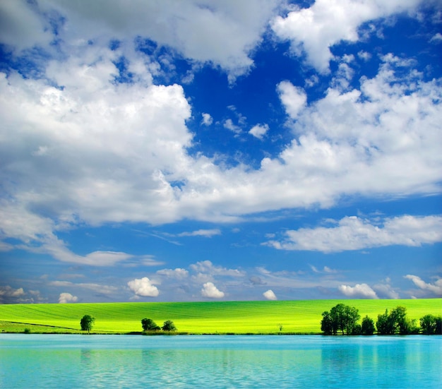 Campo su uno sfondo di cielo blu