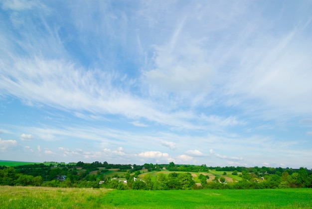 Campo sullo sfondo del cielo azzurro