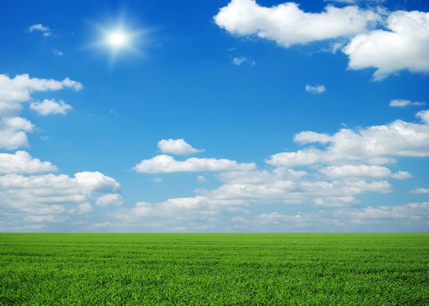 Campo verde cielo blu e sole