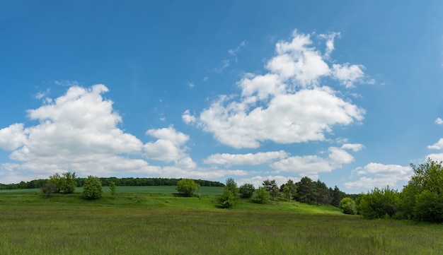 Campo verde con cielo blu