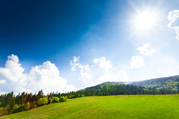 Campo verde con fienile, montagne