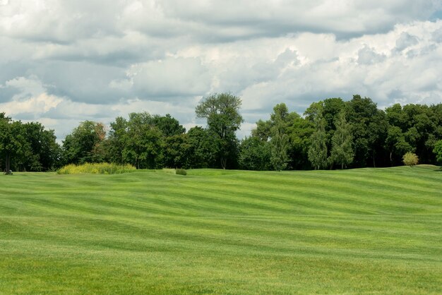 Campo verde con un cielo azzurro sopra. Paesaggi panoramici del parco in estate