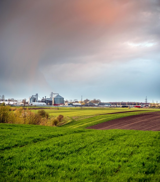 Campo verde di germogli di grano e colline di campi ascensore con fabbricati agricoli all'orizzonte bel cielo in primavera