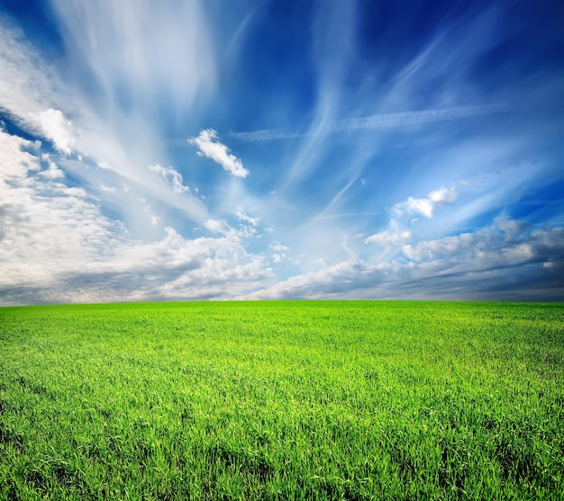 Campo verde e cielo azzurro illuminati dal sole