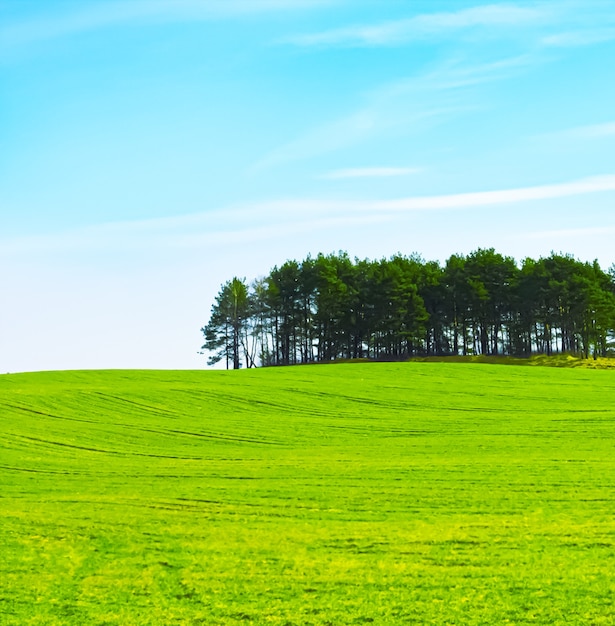 Campo verde e cielo blu con nuvole bellissimo prato come natura e ambiente