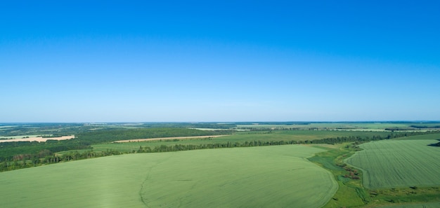 Campo verde e cielo blu